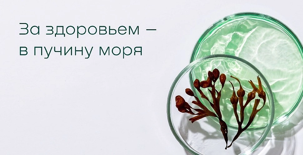 бурые водоросли