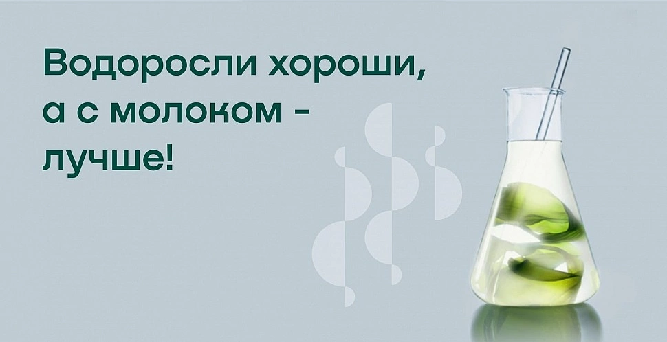 Водоросли хороши, а с молоком - лучше