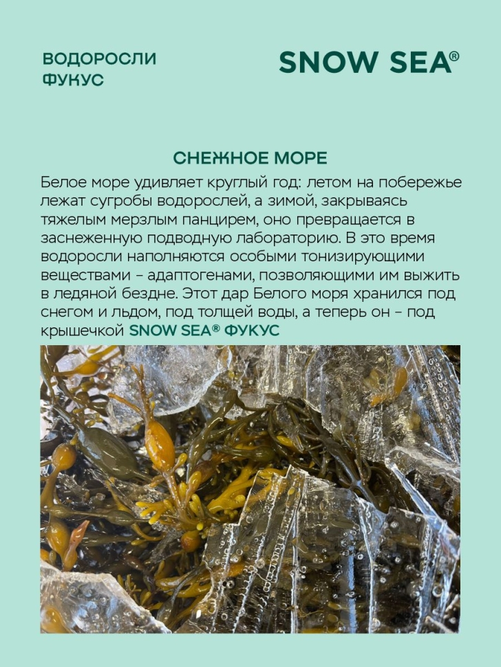 Фукус (келп) ДОКТОР РЕКОМЕНДУЕТ, 360 единиц