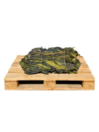 Слоевища арктической ламинарии сушеные