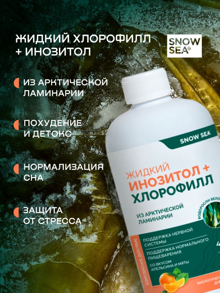  Хлорофилл жидкий с инозитолом SNOW SEA® со вкусом апельсина и мяты для контроля стресса БАД, 450 мл