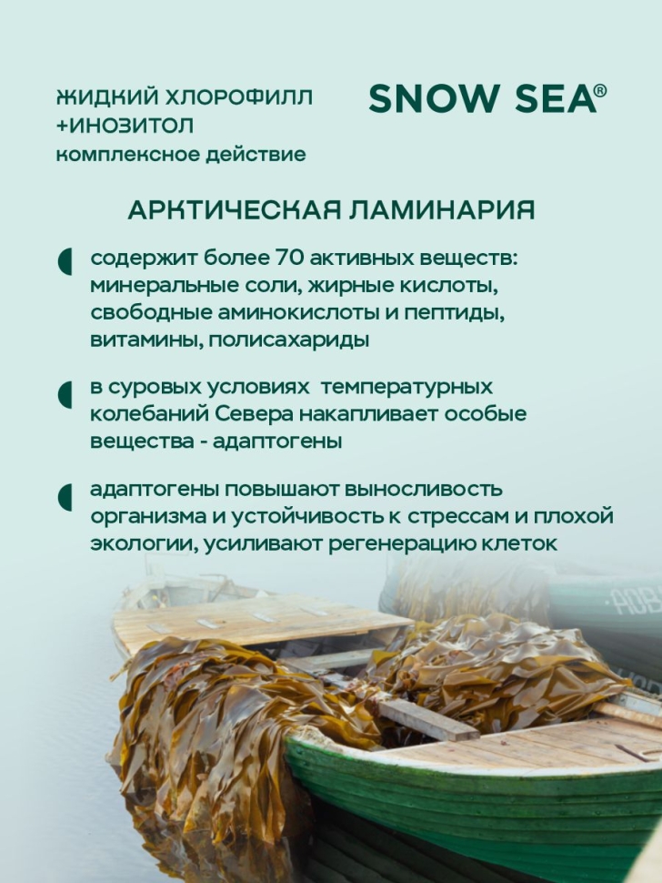  Хлорофилл жидкий с инозитолом SNOW SEA® со вкусом апельсина и мяты для контроля стресса БАД, 450 мл