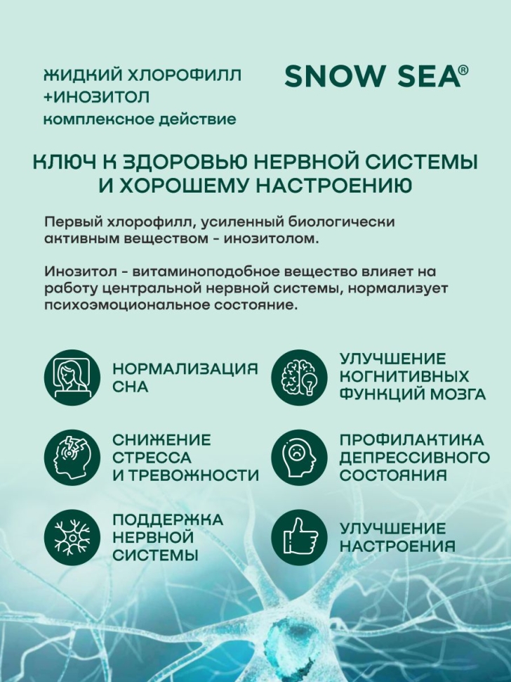  Хлорофилл жидкий с инозитолом SNOW SEA® со вкусом апельсина и мяты для контроля стресса БАД, 450 мл
