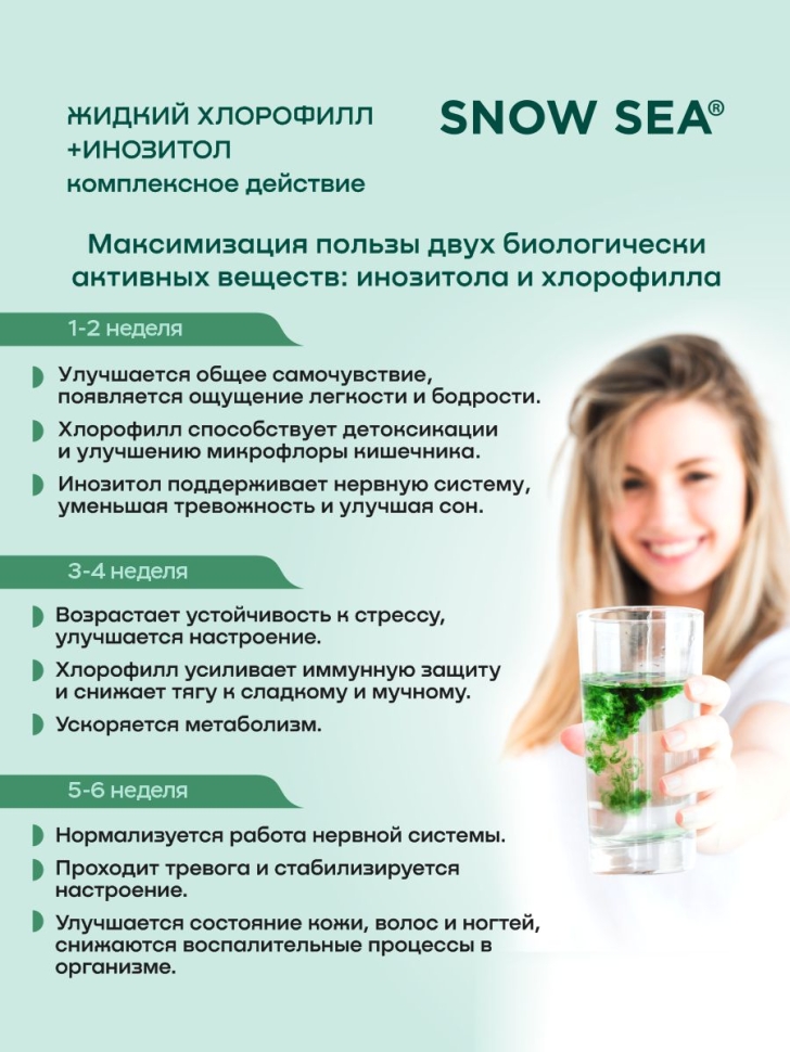  Хлорофилл жидкий с инозитолом SNOW SEA® со вкусом апельсина и мяты для контроля стресса БАД, 450 мл