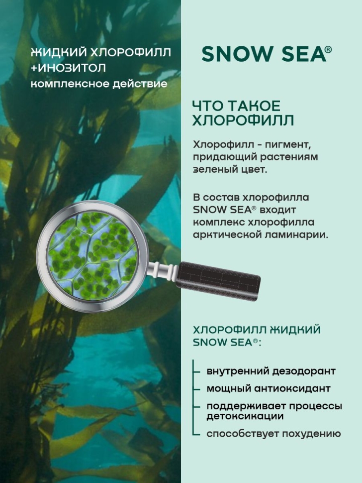  Хлорофилл жидкий с инозитолом SNOW SEA® со вкусом апельсина и мяты для контроля стресса БАД, 450 мл