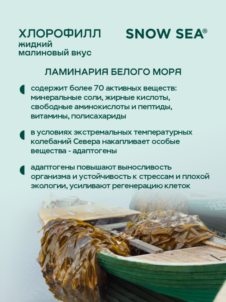 Хлорофилл жидкий SNOW SEA® со вкусом малины, 500 мл