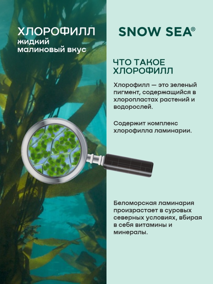 Хлорофилл жидкий SNOW SEA® со вкусом малины, 500 мл