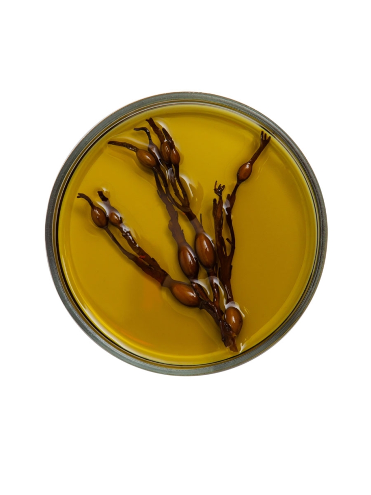 Водорослевое масло SPA-МАССАЖ #KELPMENOW, 1 л