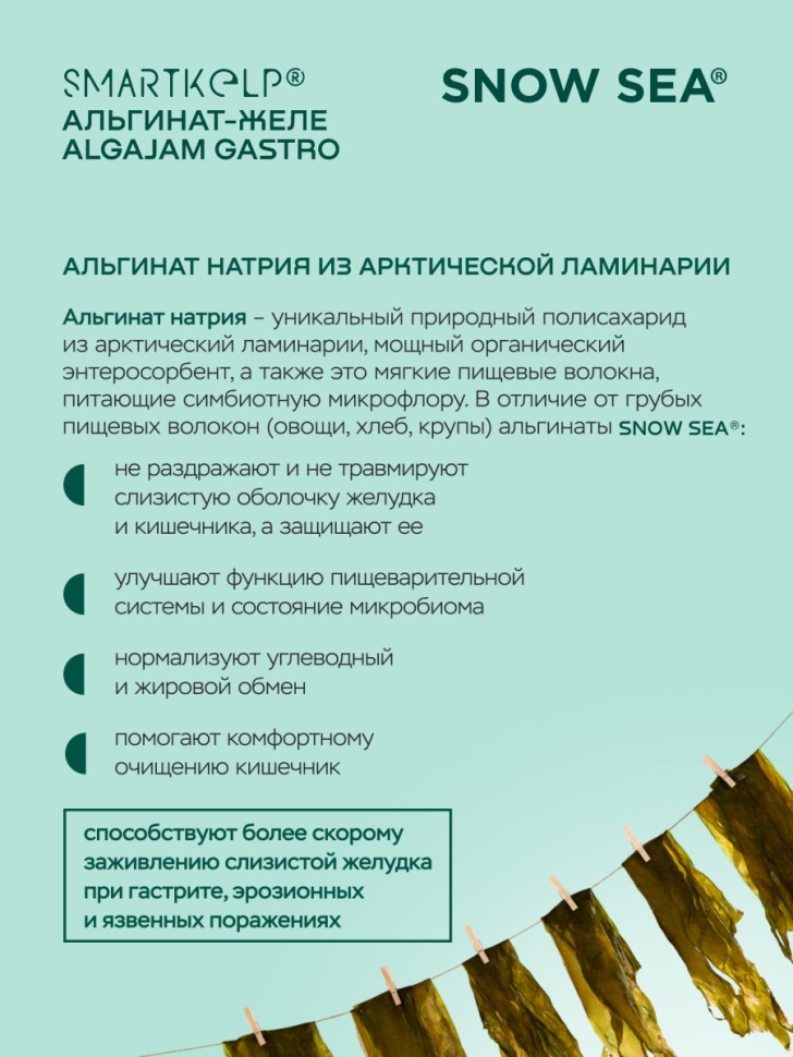 Желе из ламинарии с черникой ALGAJAM SNOW SEA®, 500 г.