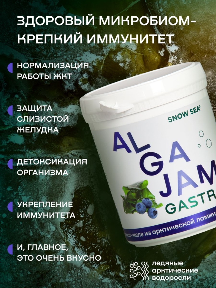 Желе из ламинарии с черникой ALGAJAM SNOW SEA®, 500 г.