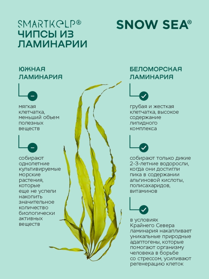 Чипсы из ламинарии SMARTKELP®, 12 г 