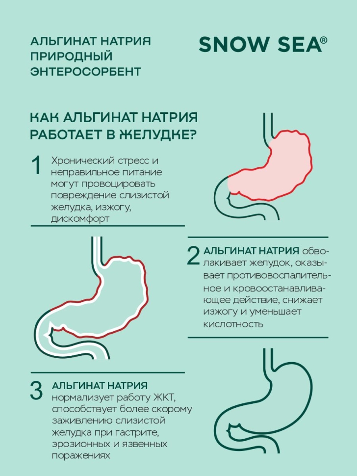 БАД АЛЬГИНАТ НАТРИЯ для ЖКТ и очищения организма, 60 пак.