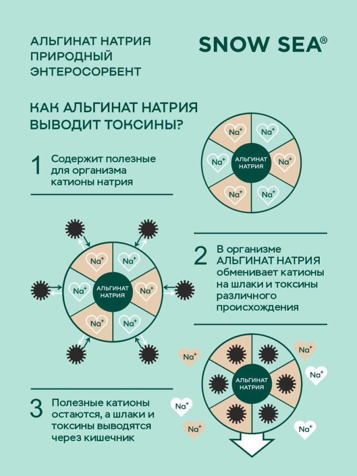 Альгинат натрия АЛЬГАДЕТОКС® для поддержки ЖКТ, 60 пакетов 