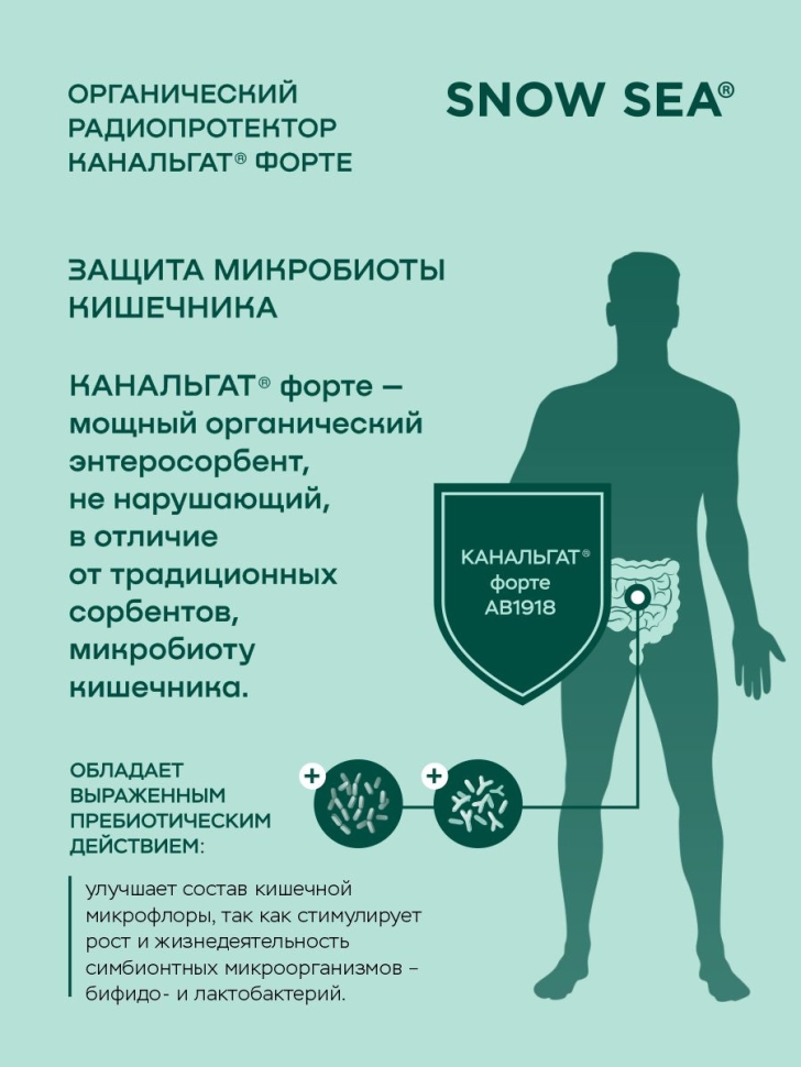 Канальгат форте АЛЬГАДЕТОКС® для выведения радиации и токсинов БАД, 90 капс.
