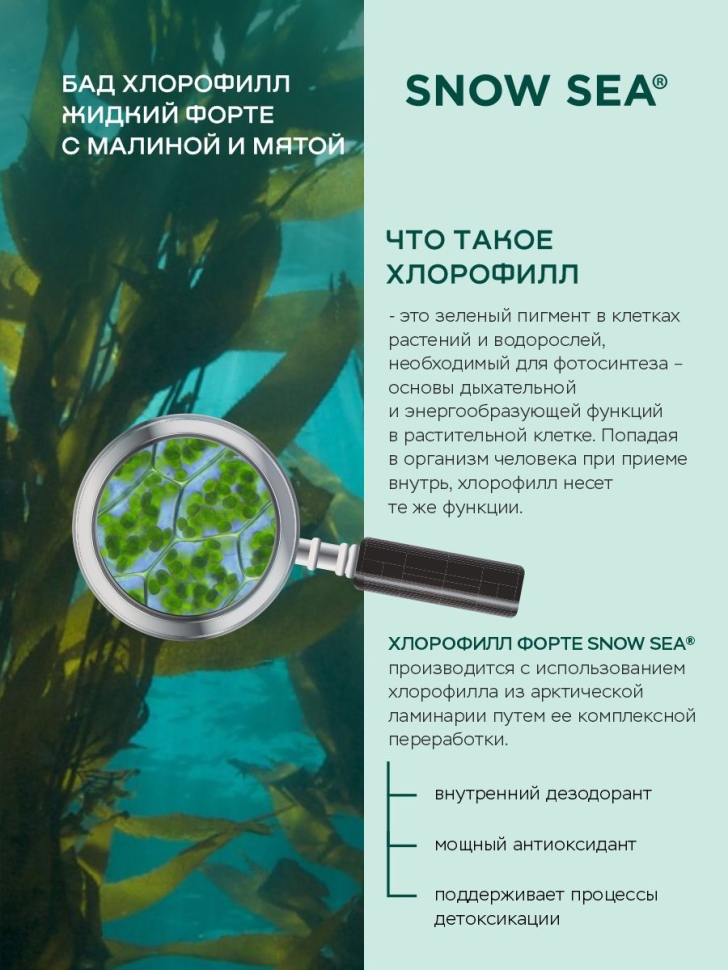 Хлорофилл жидкий SNOW SEA® со вкусом мяты и малины для ЖКТ, детокса и похудения БАД, 450 мл