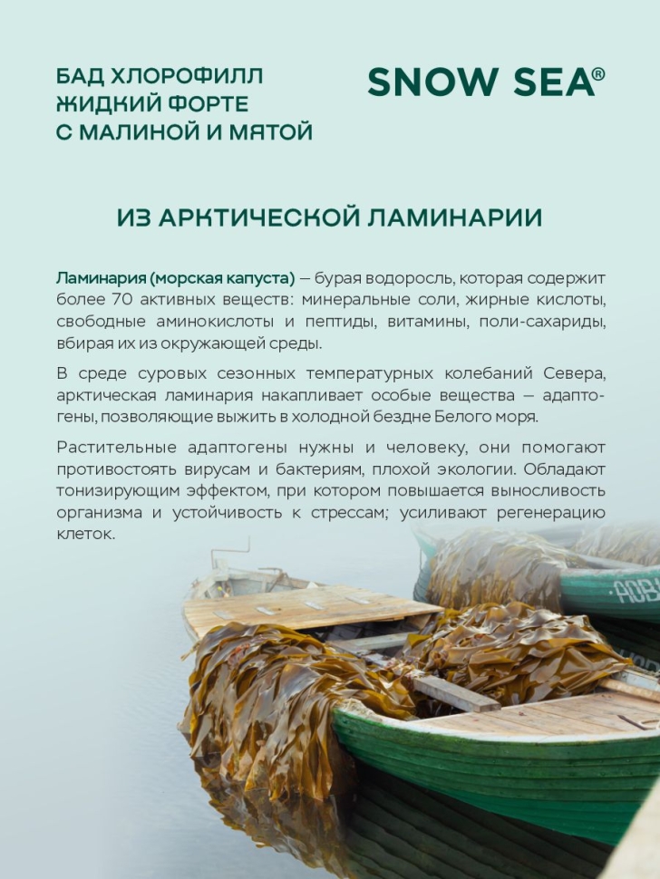Хлорофилл жидкий SNOW SEA® со вкусом мяты и малины для ЖКТ, детокса и похудения БАД, 450 мл
