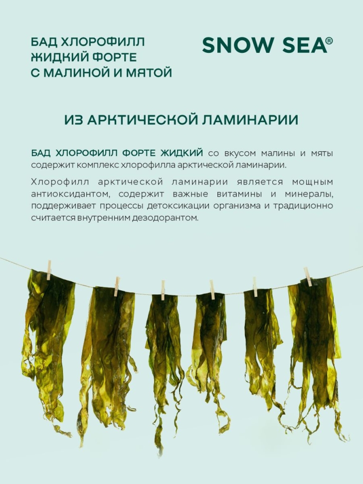 Хлорофилл жидкий SNOW SEA® со вкусом мяты и малины для ЖКТ, детокса и похудения БАД, 450 мл