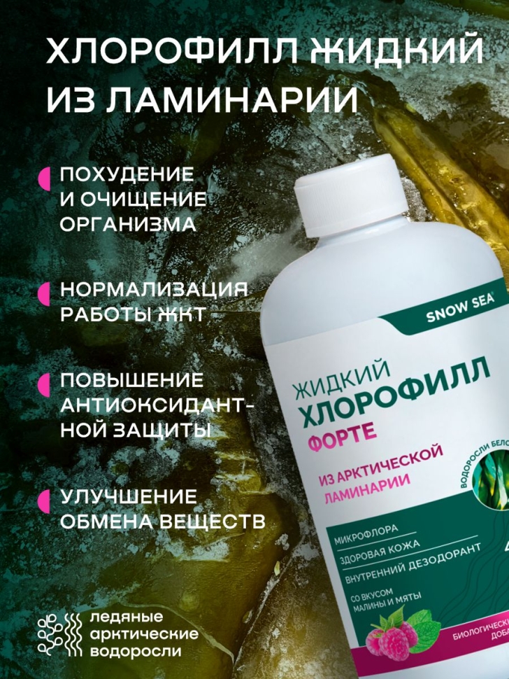 Хлорофилл жидкий SNOW SEA® со вкусом мяты и малины для ЖКТ, детокса и похудения БАД, 450 мл