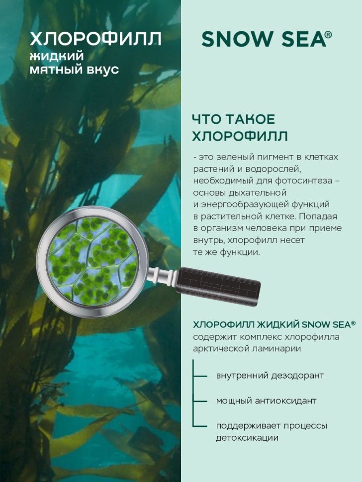 Хлорофилл жидкий SNOW SEA® со вкусом мяты для детокса и похудения, 500 мл
