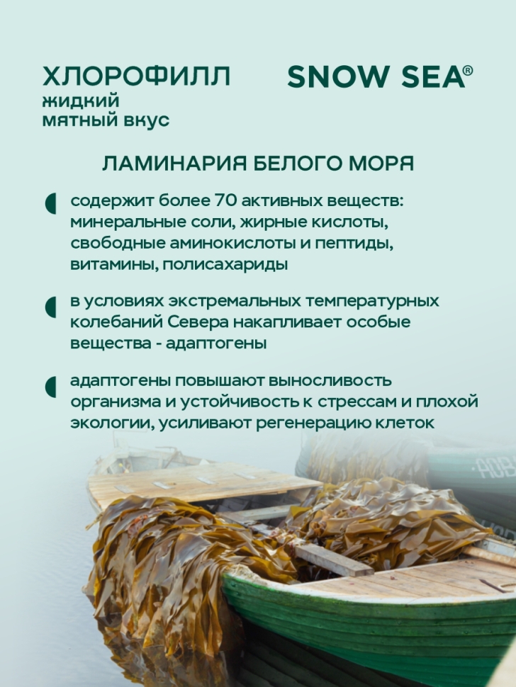 Хлорофилл жидкий SNOW SEA® со вкусом мяты, 500 мл