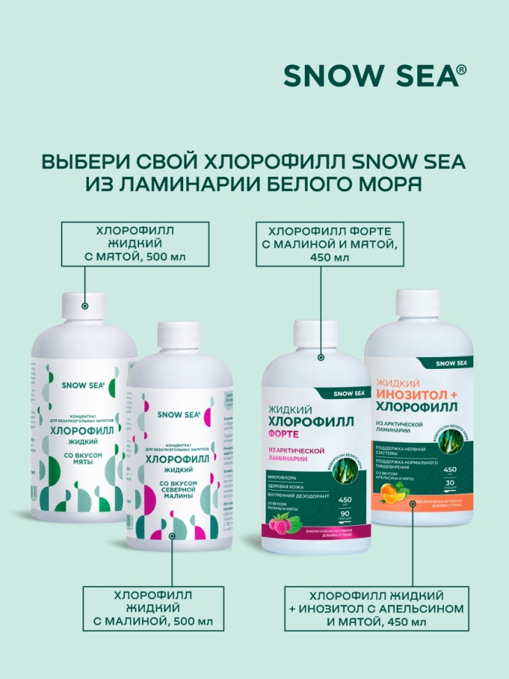 Хлорофилл жидкий SNOW SEA® со вкусом мяты, 500 мл