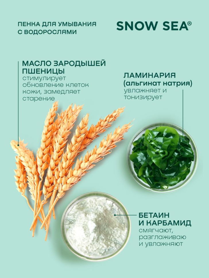 Пенка для умывания с экстрактом водорослей SNOW SEA® Care, 160 мл