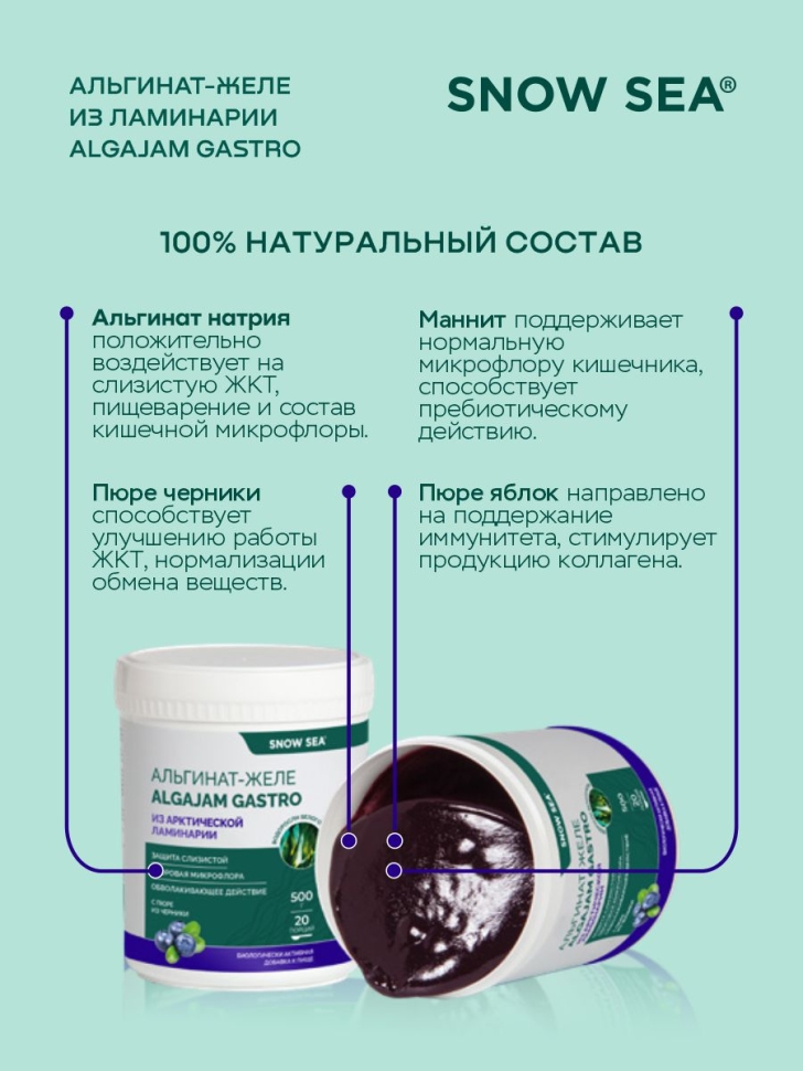 Альгинат-желе из арктической ламинарии с черникой ALGAJAM SNOW SEA® для ЖКТ БАД, 500 г