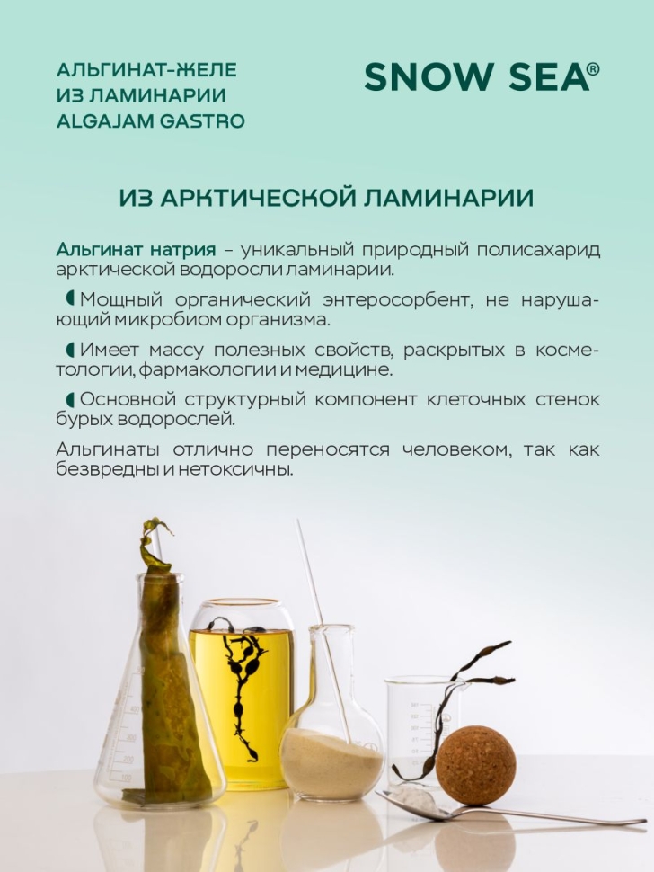 Альгинат-желе из арктической ламинарии с черникой ALGAJAM SNOW SEA® для ЖКТ БАД, 500 г