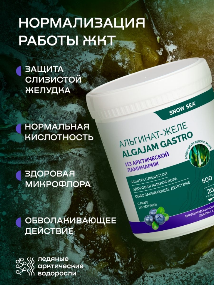 Альгинат-желе из арктической ламинарии с черникой ALGAJAM SNOW SEA® для ЖКТ БАД, 500 г