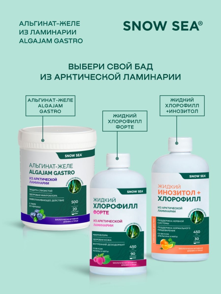 Альгинат-желе из арктической ламинарии с черникой ALGAJAM GASTRO SNOW SEA® для ЖКТ, 500 г