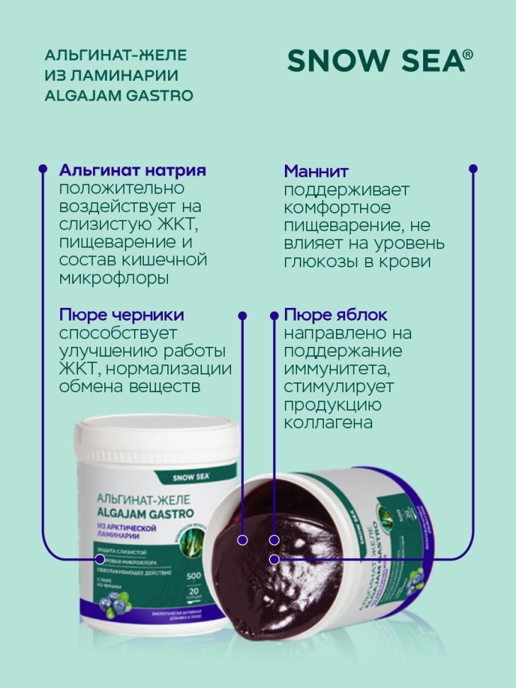 Альгинат-желе из арктической ламинарии с черникой ALGAJAM GASTRO SNOW SEA® для ЖКТ, 500 г