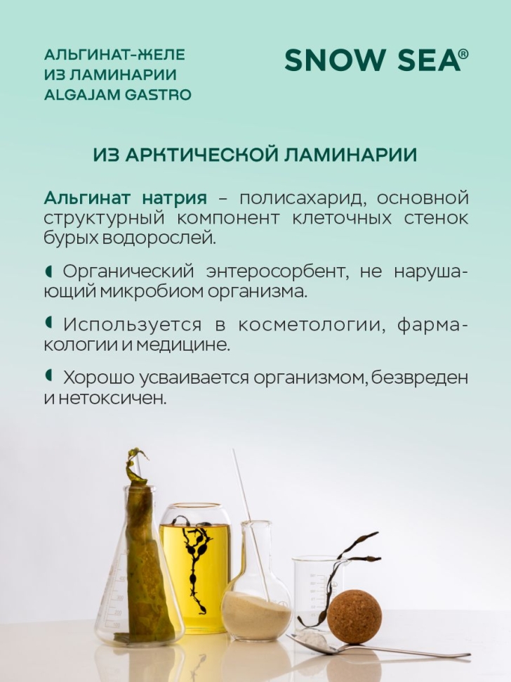 Альгинат-желе из арктической ламинарии с черникой ALGAJAM GASTRO SNOW SEA® для ЖКТ, 500 г