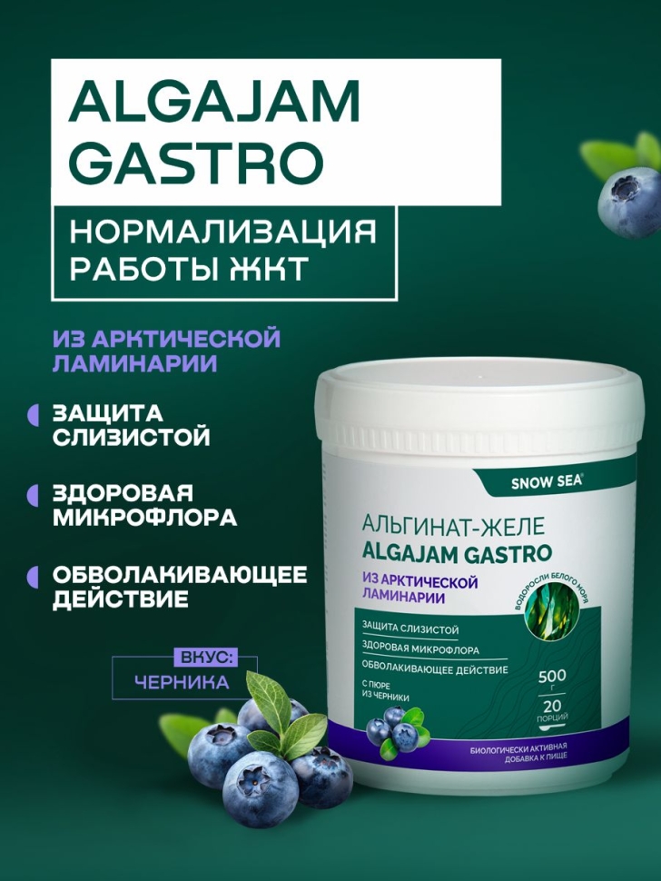 Альгинат-желе из арктической ламинарии с черникой ALGAJAM GASTRO SNOW SEA® для ЖКТ, 500 г