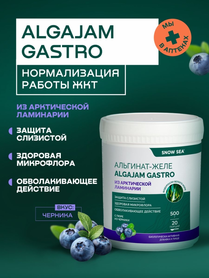 Альгинат-желе из арктической ламинарии ALGAJAM GASTRO SNOW SEA® для ЖКТ, 500 г